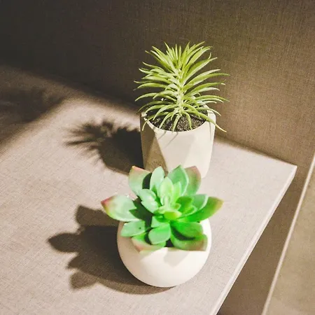 M&m Apartment *